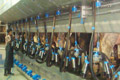 Feeds can be calculated easily and dispensed automatically